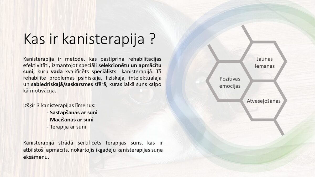 Slide2.jpg