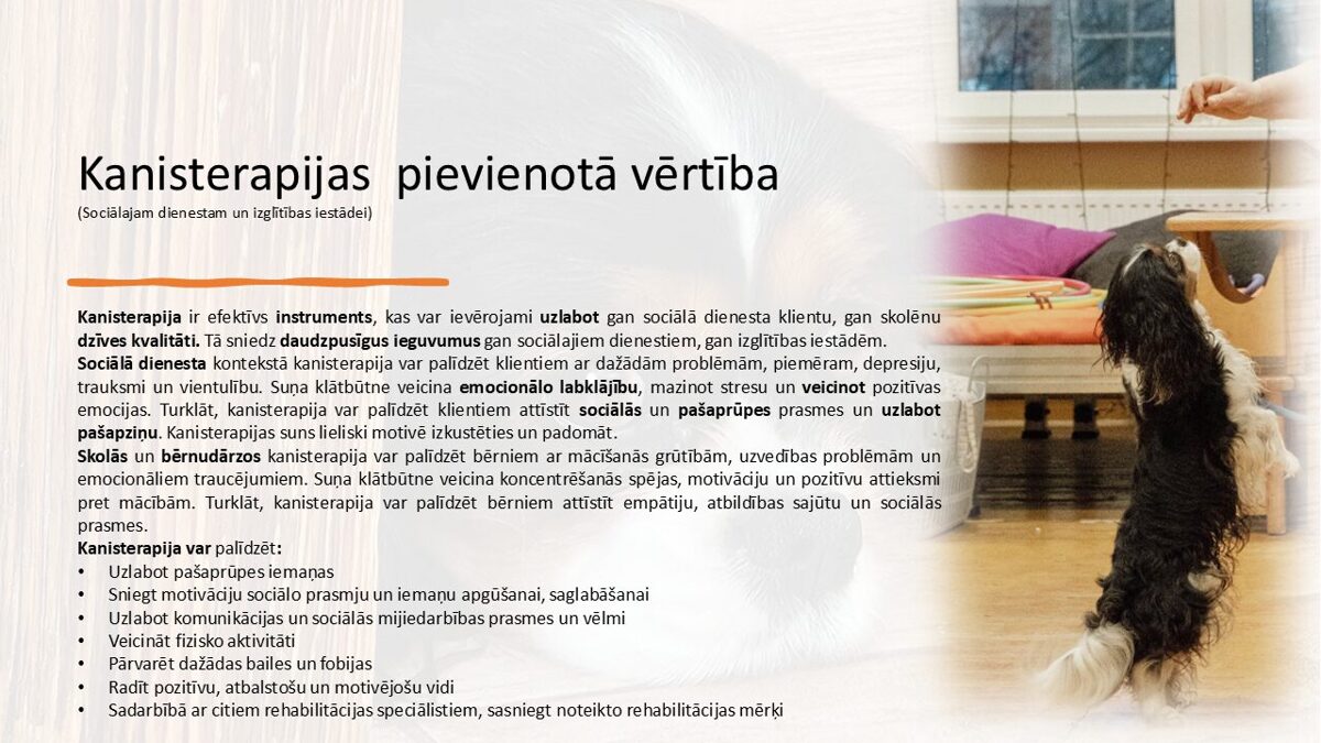 Slide4.jpg